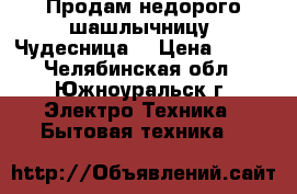 Продам недорого шашлычницу “Чудесница“ › Цена ­ 500 - Челябинская обл., Южноуральск г. Электро-Техника » Бытовая техника   